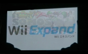 wii-expand1